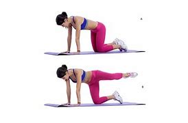 Beginner-friendly belly fat exercises